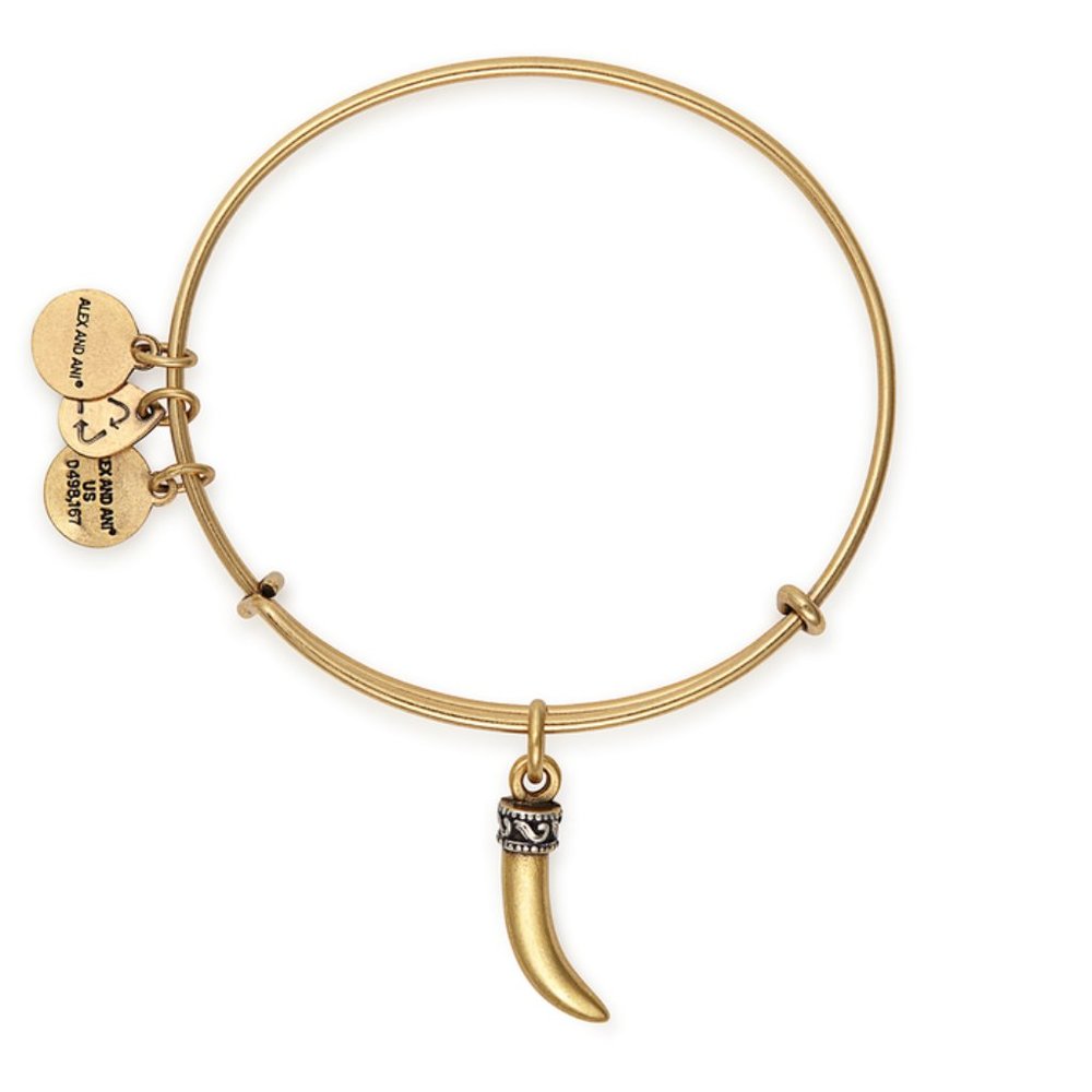 ALEX AND ANI HORN Vitality Charm Bangle